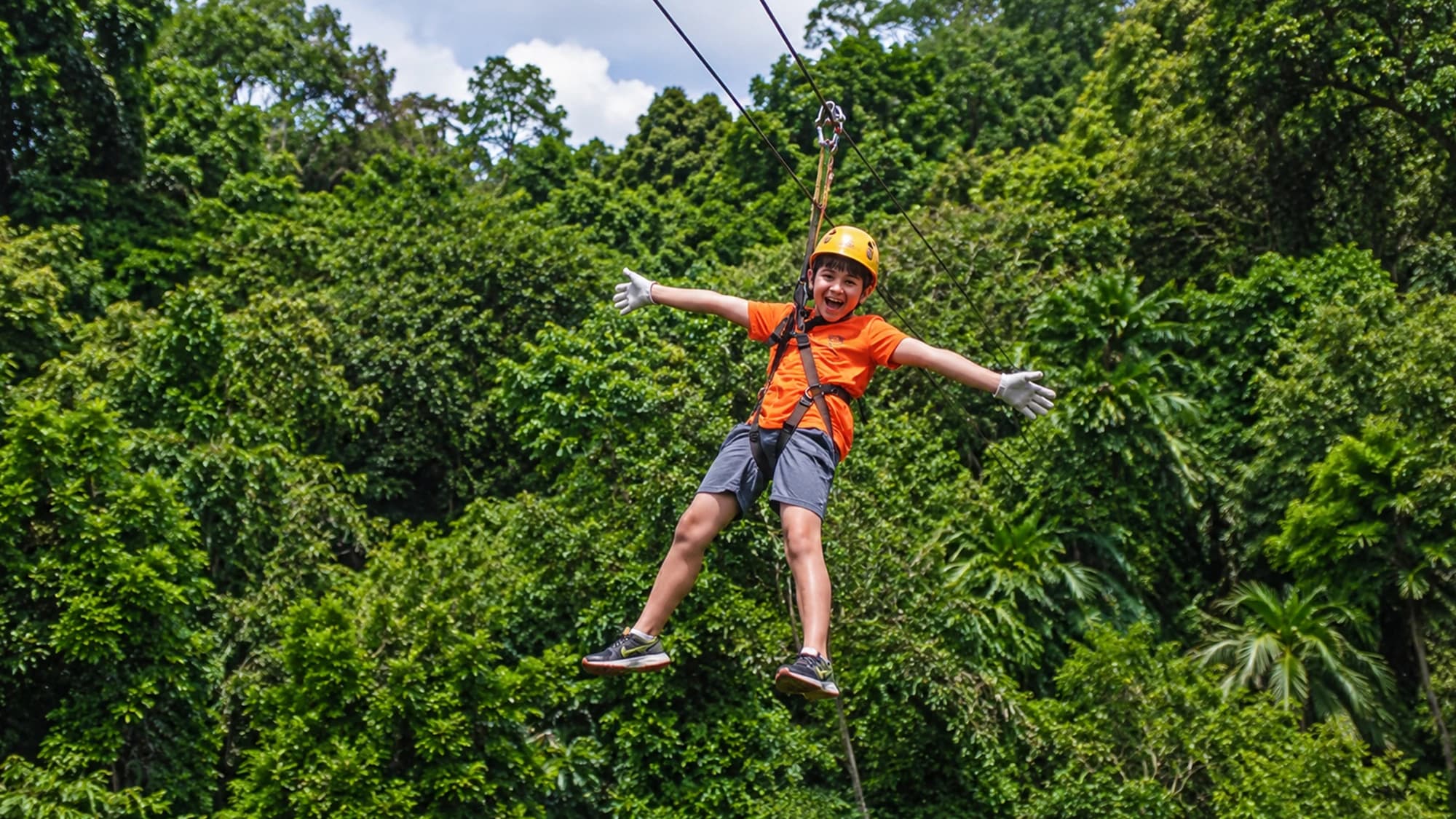 phoenix zipline chiang mai