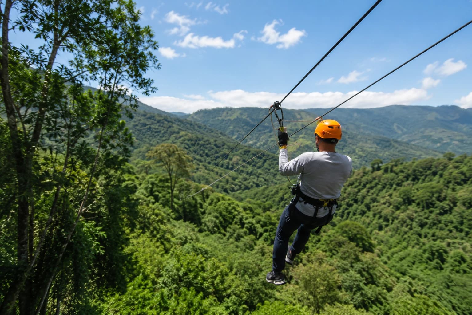 KingKong Smile Zipline CM